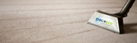 champaign-carpet-cleaning-services