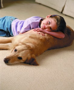 Girl and dog on clean carpet