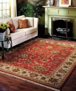 Oriental Area Rug Cleaning Champaign-Urbana