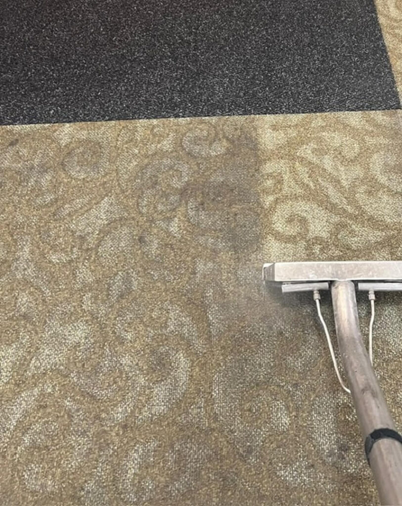 Reliable Carpet Cleaning in Champaign-Urbana and Many More! – Contact Us Today for a No-Obligation Quote!