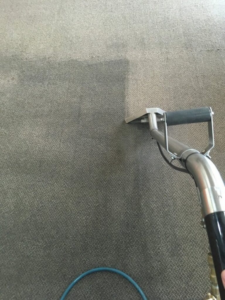 Professional Carpet Cleaning in Bloomington-Normal, IL and Surrounding Areas – Call Now for a Free Estimate!