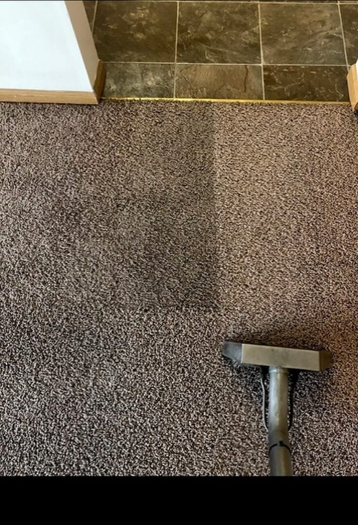 Trusted Carpet Cleaning Experts – Serving Champaign County and Beyond. Book Your FREE Quote Now!